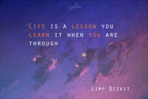 Limp Bizkit pop culture quotes