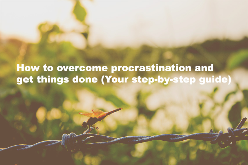 How to overcome Procrastination and get things done (Your step-by-step guide)<span class="wtr-time-wrap after-title"><span class="wtr-time-number">11</span> min read</span>