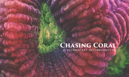 Chasing Coral – A Documentary recommendation