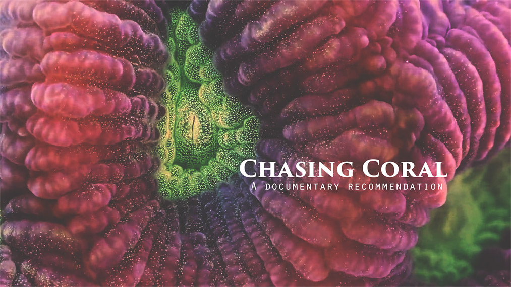 chasing coral a documentary recommendation