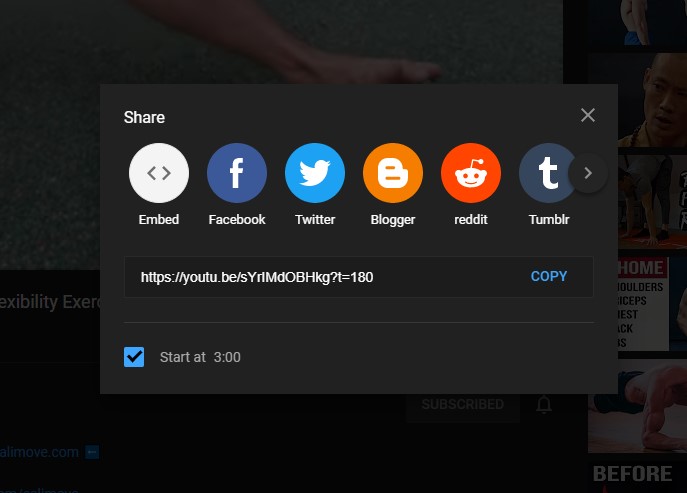 youtube share video with specific time